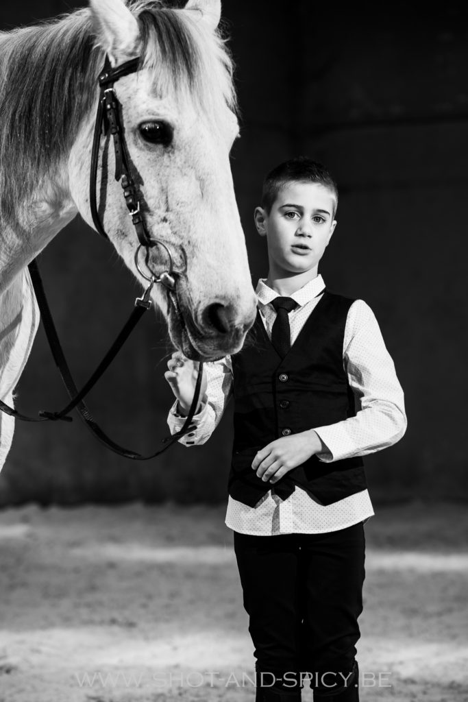 photographe cheval tournai