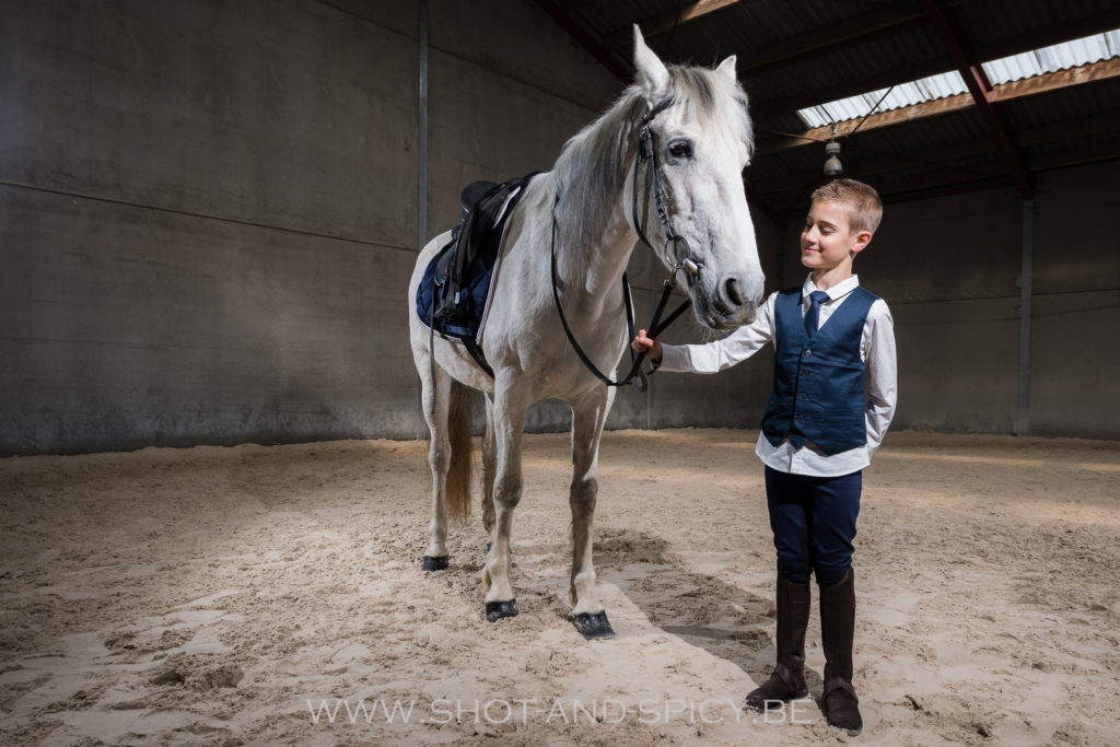 photographe écurie brabant wallon